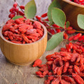 Non GMO Superfood Eu Estándar Goji Bayas